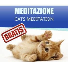 CATS MEDITATION - Rilassati con le fusa dei gatti