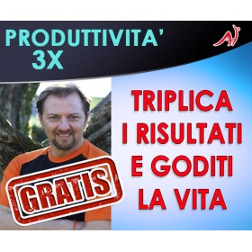 PRODUTTIVITA' 3X - Triplica i risultati e goditi la vita - Max Formisano