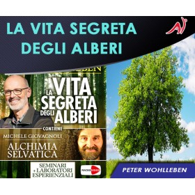La Vita Segreta degli Alberi - Peter Wohlleben, Michele Giovagnoli (Offerta Promo Limitata a € 29 anzichè € 49)